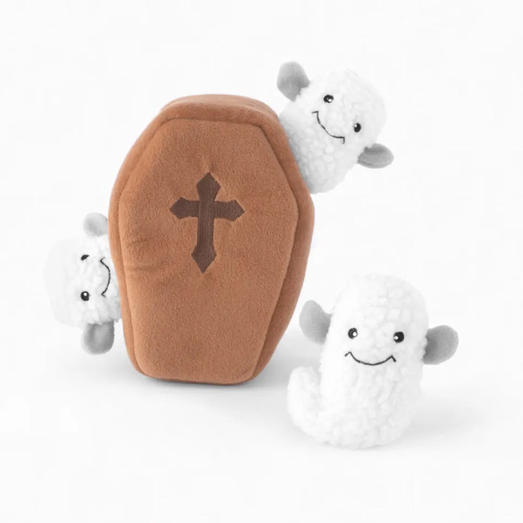 Next Product Image