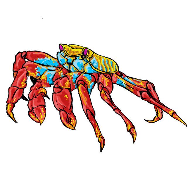 Next Product Image